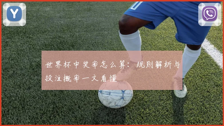 世界杯中奖率怎么算：规则解析与投注概率一文看懂