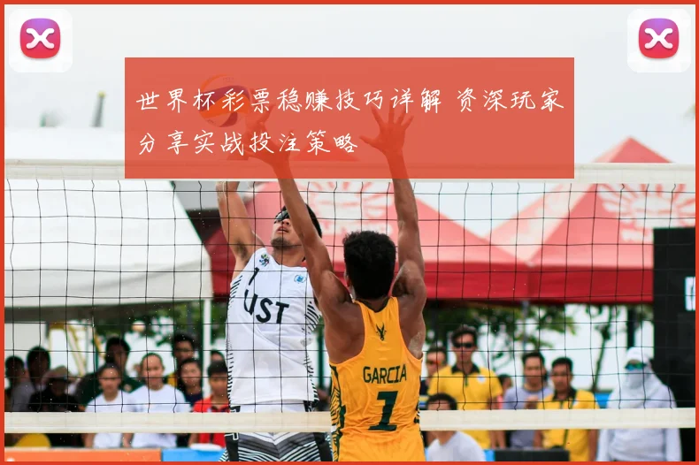 世界杯彩票稳赚技巧详解 资深玩家分享实战投注策略